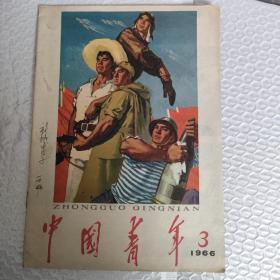 中国青年  1966年  3期