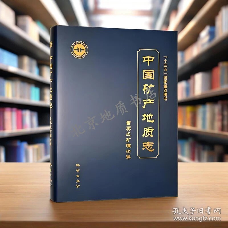 中国矿产地质志·重要成矿理论卷 < 正版全新可开发票)