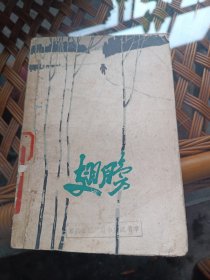 翅膀