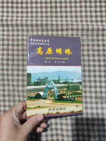 高原明珠：云南铝业股份有限公司发展史