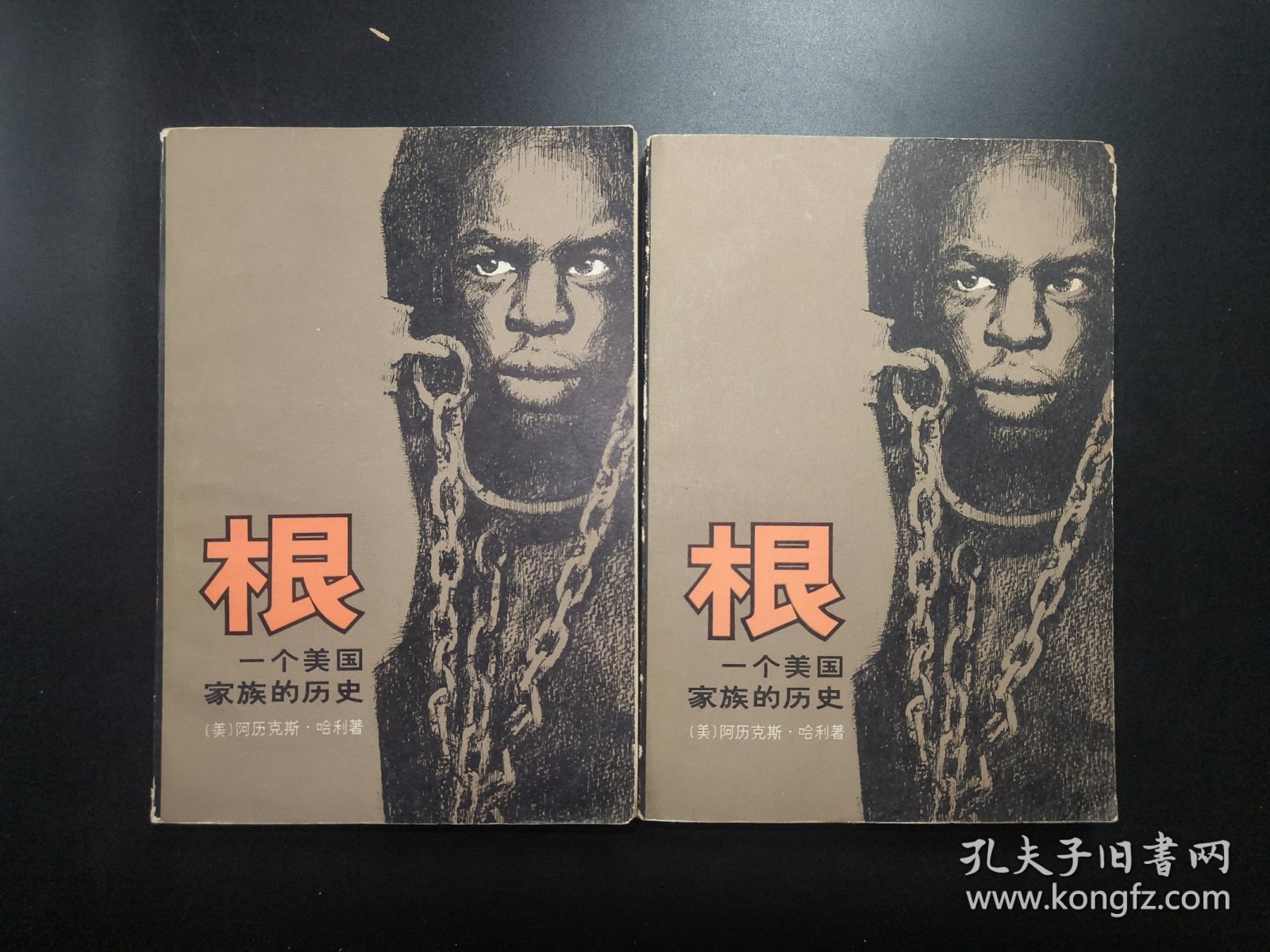 根 一个美国家族的历史 上下