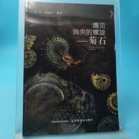 遇见消失的螺旋--菊石