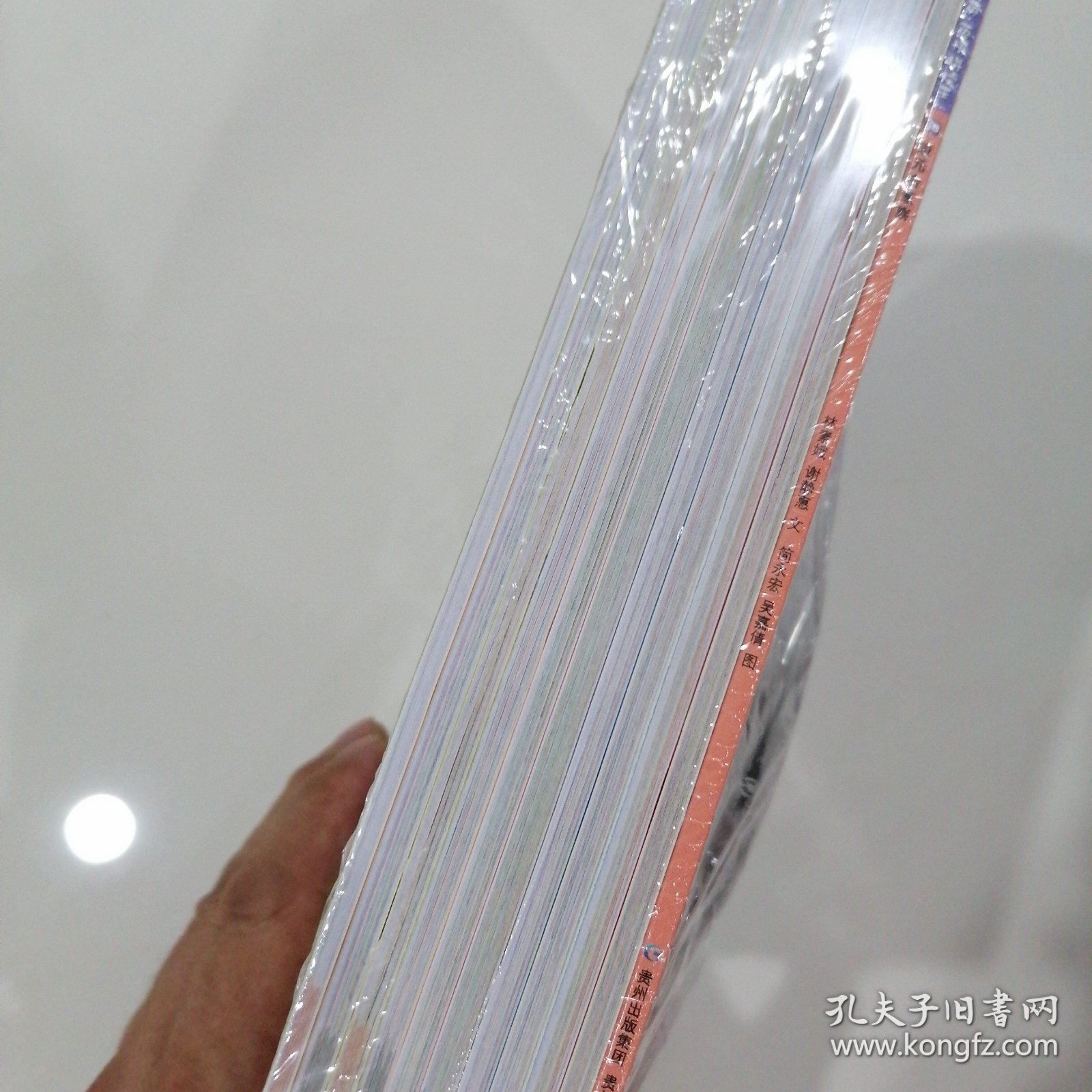 蒲公英·英语拼读王，11本.1套少一本