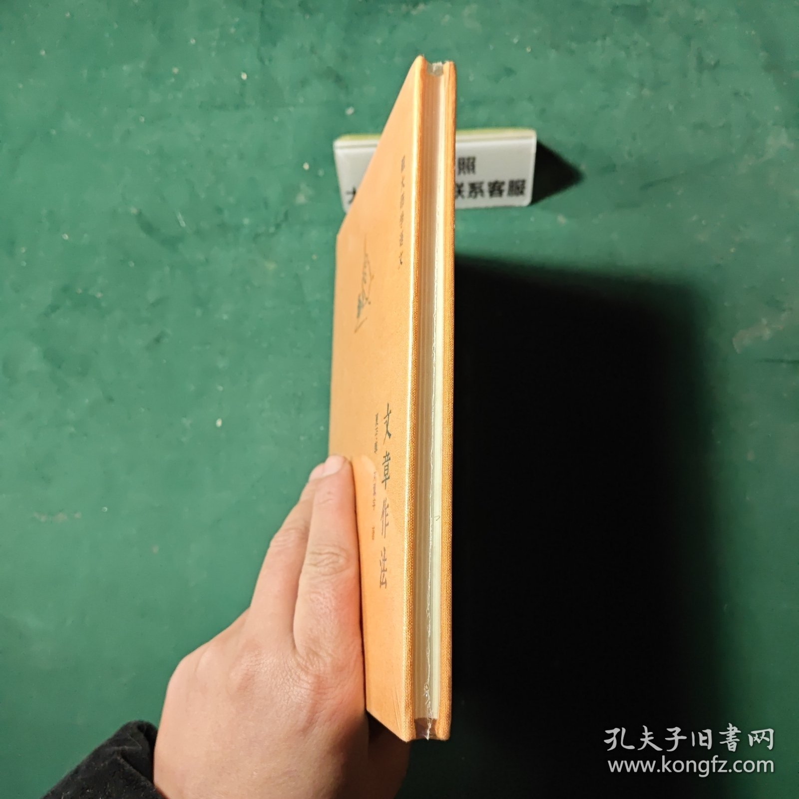 跟大师学语文：文章作法