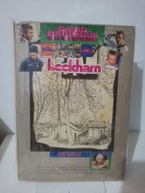 自制明星海报贴画剪纸 贝克汉姆 李宇春 贝克汉姆六十多页 李宇春二十多页