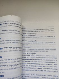 历史的痕迹 : 祁连县地名文化释义 有书钉 有点锯齿