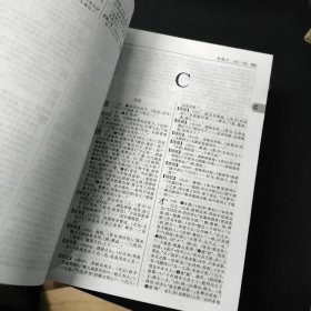 古代汉语词典（第2版）