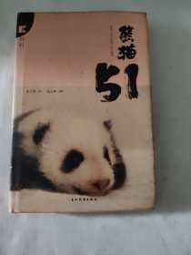 大熊猫51