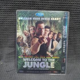 欢迎来到丛林 DVD9 光盘 碟片  外国电影（个人收藏品）