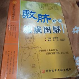 敷脐疗法速成图解(正版)