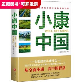 小康中国（汇聚有价值的经验，总结中国智慧的有效路径）