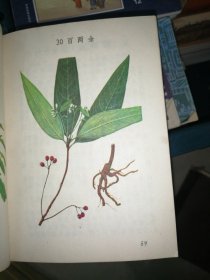 福州版彩色图谱《中草药手册》64开蓝色精装厚册