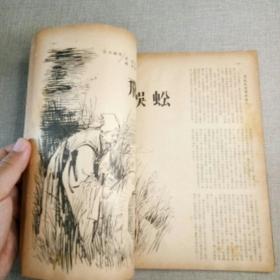 《武侠世界》187期 70年代武侠小说杂志（金童 金锋 江华 诸葛丹 神光 凌波 高堂客 小雲 屠龙 倪匡 海浪 混沌书生 陆羽 太乙书生）董培新 子成 插图