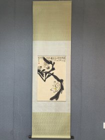 康师尧花卉