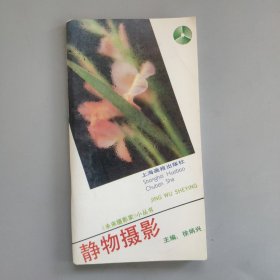 未来摄影家小丛书，静物摄影