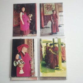 西藏人物摄影照片（40张） AGFA爱克发相纸【 品新实拍 】