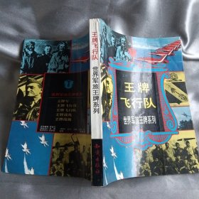 王牌飞行队 世界军旅王牌系列