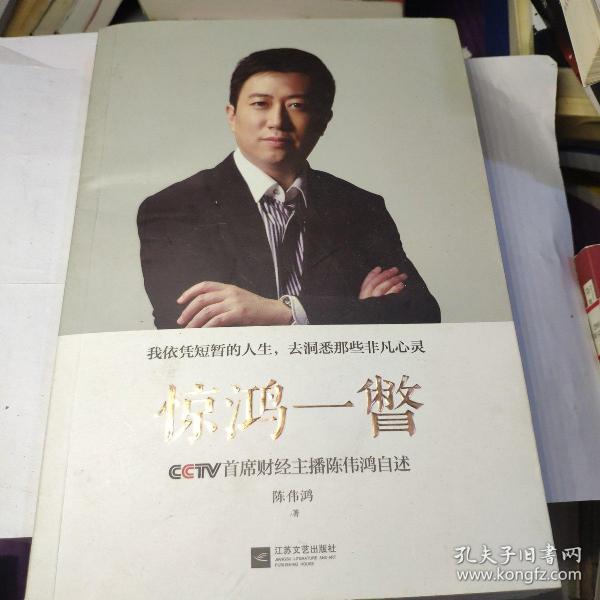 惊鸿一瞥：CCTV首席财经主播陈伟鸿自述