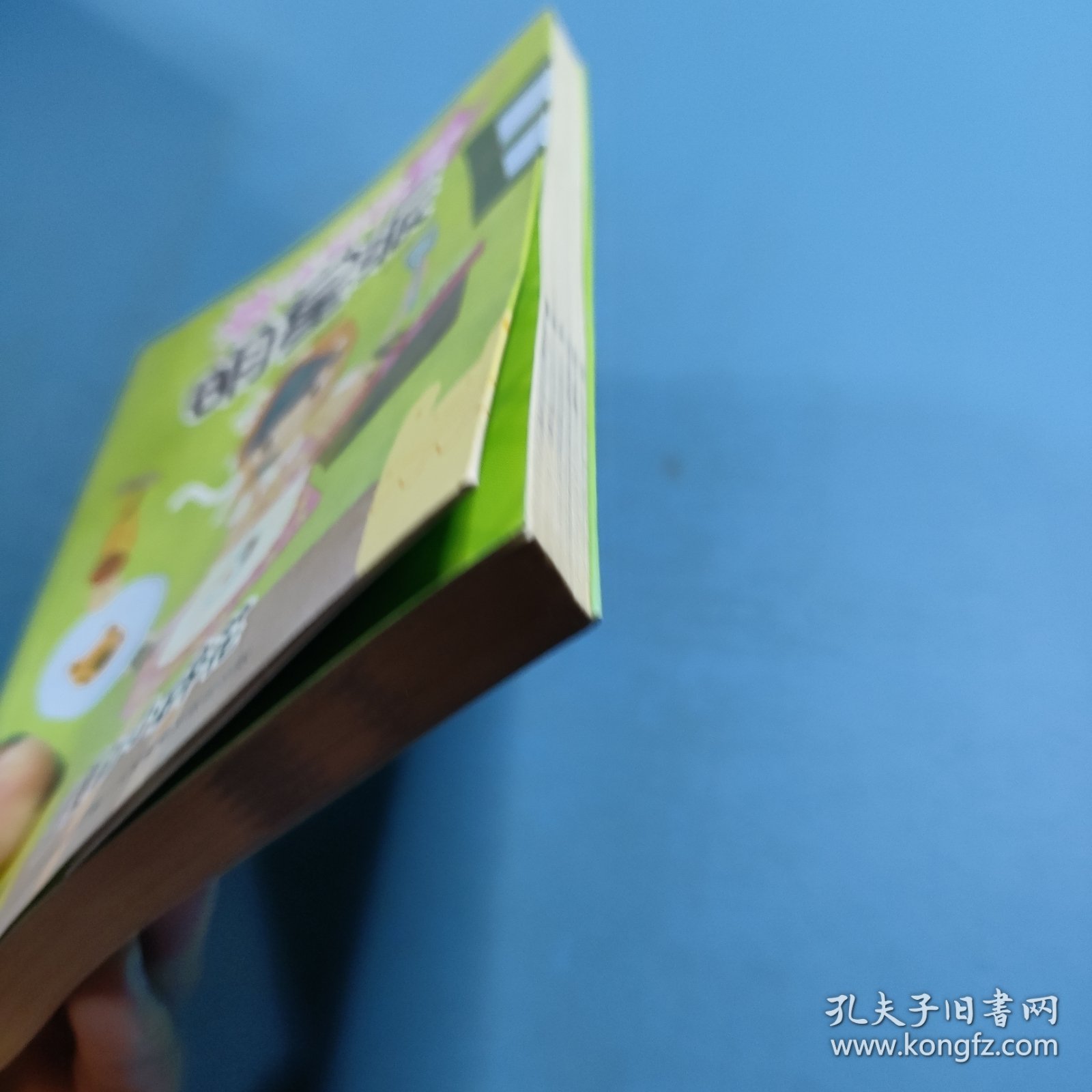 盛夏的小碎花