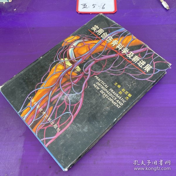 实用创伤骨科学及新进展（精）