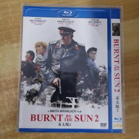171蓝光影视光盘DVD：毒太阳2 一张碟片简装