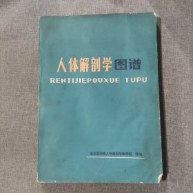 人体解剖学图谱