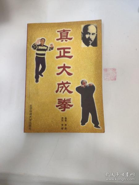 真正大成拳