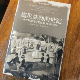 施尼兹勒的世纪：中产阶级文化的形成,1815－1914