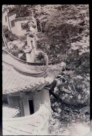 1980年底片五种，采石矶李白祠建筑、书法李白的《临终歌》