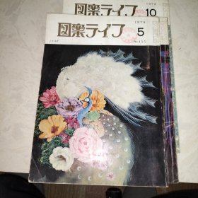 图案ライフ（1979年5、6、10月，3册合售）日本株式会社 八宝堂，馆藏