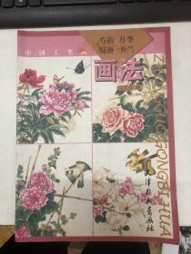 中国工笔画：芍药 月季 蜀葵 玉兰画法