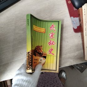 武宗秘史，