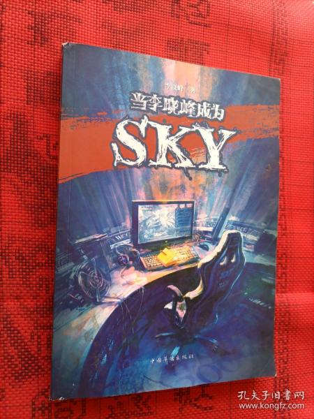 当李晓峰成为SKY