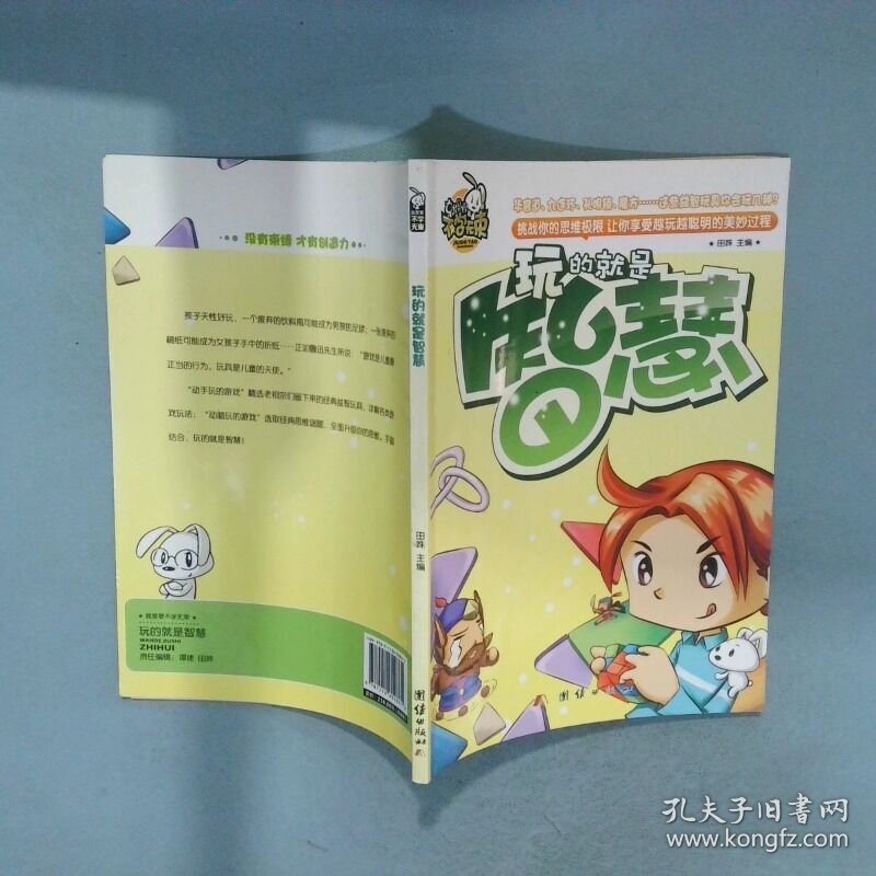 玩的就是智慧  田姝 团结出版社