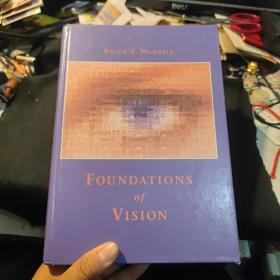 Foundations of Vision: Behaviour, Neuroscience and Computation