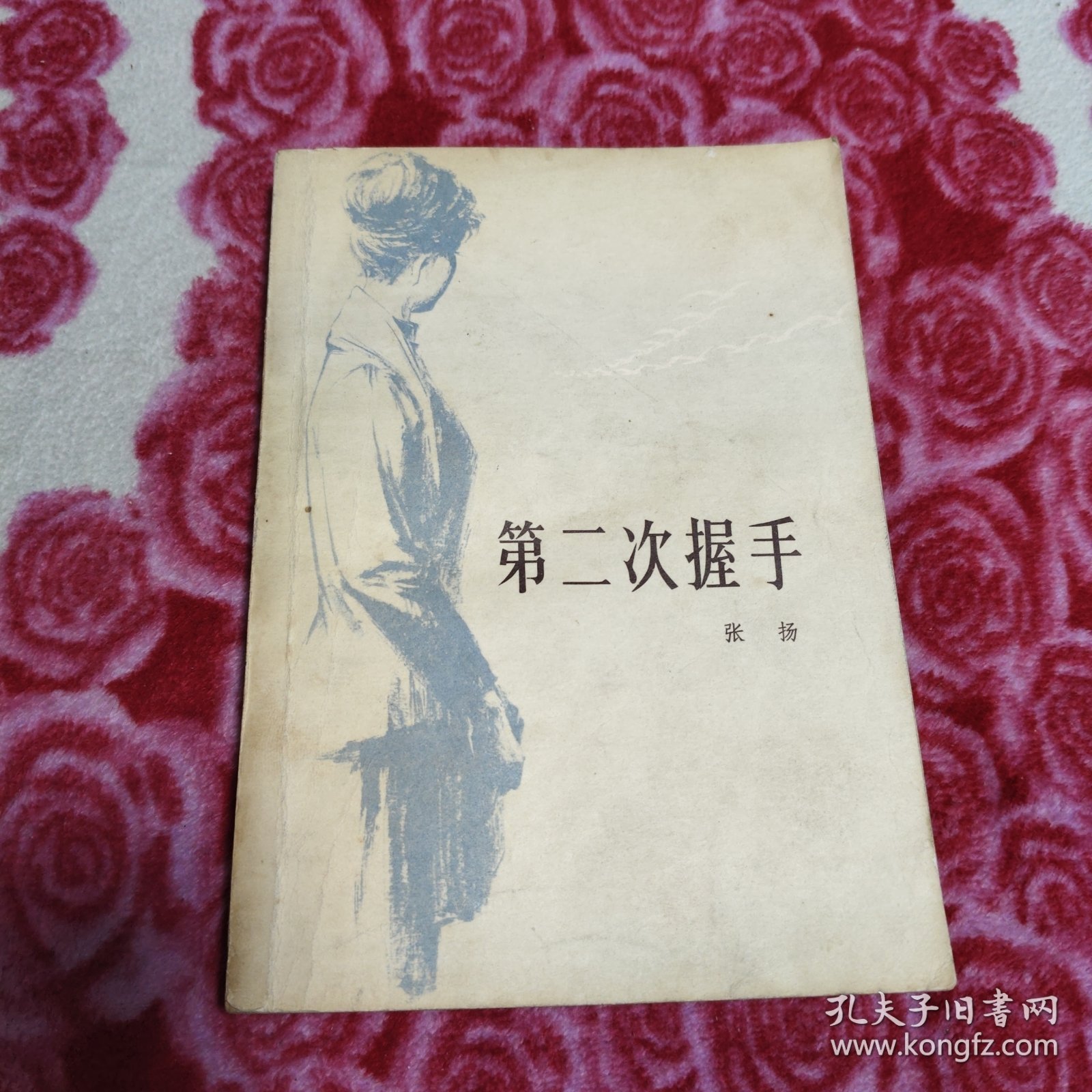 第二次握手（书的后边儿有部分水印，详情看图，介意勿拍。。）