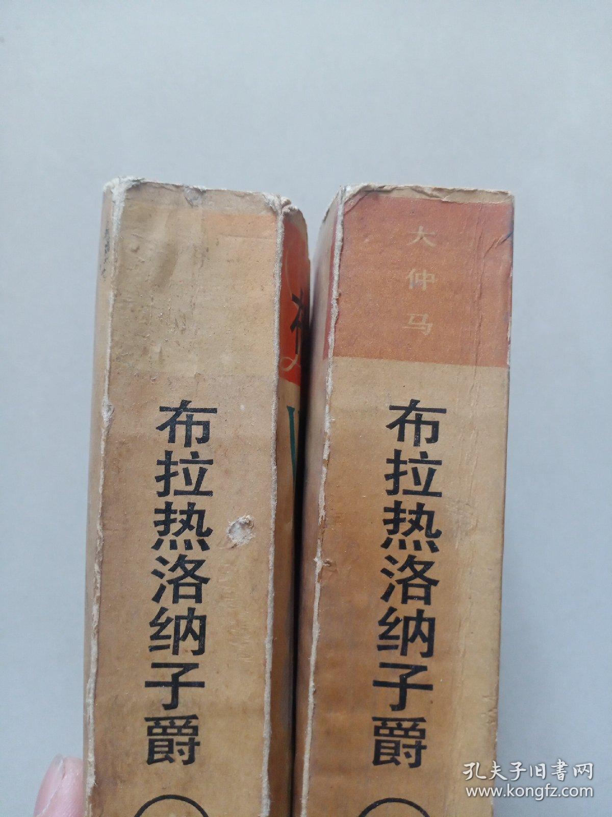 布拉热洛纳子爵（中下）