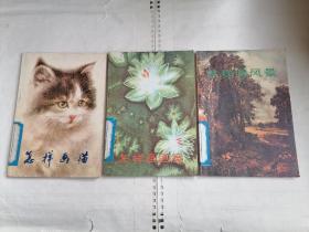 怎样画猫/怎样画图案/怎样画风景（3本合售）