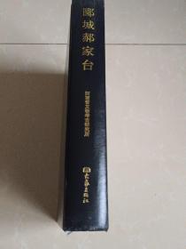 郾城郝家台 精装