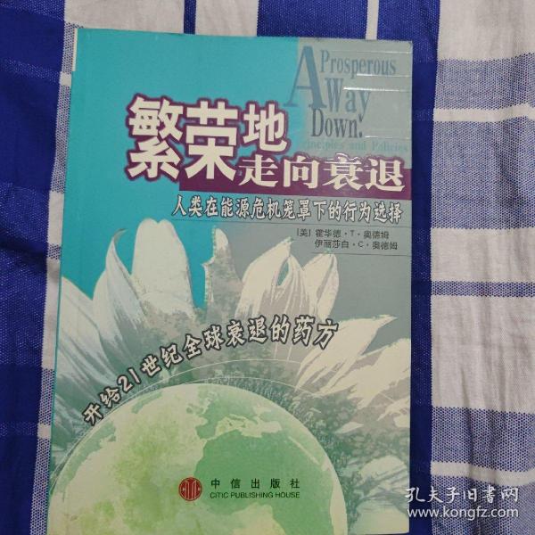 繁荣地走向衰退：人类在能源危机笼罩下的行为选择