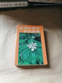 实用中草药彩色图集（2）