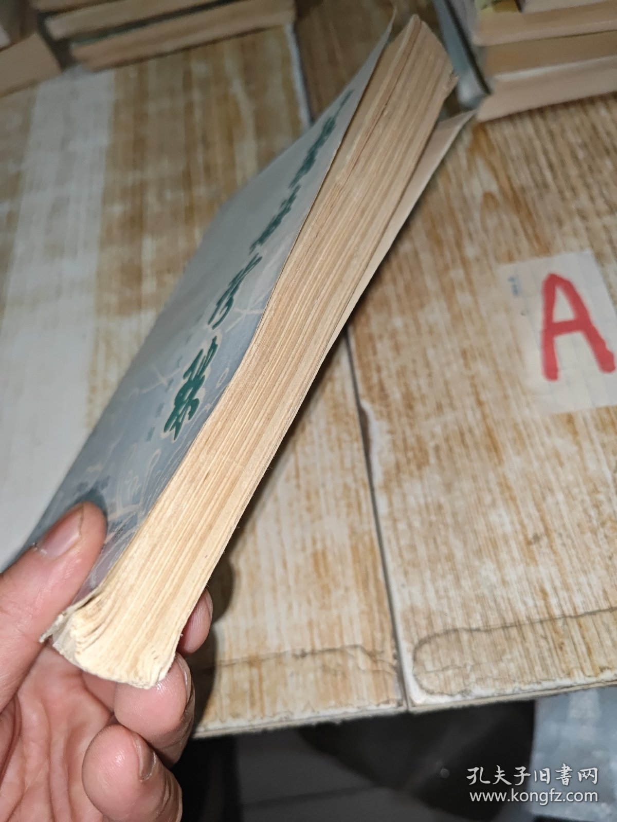 艺海珍珠【包邮】