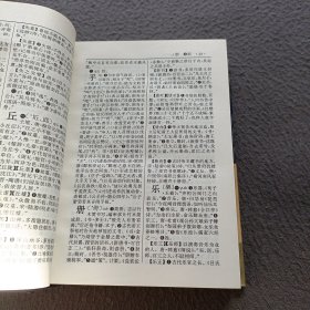 古代汉语词典