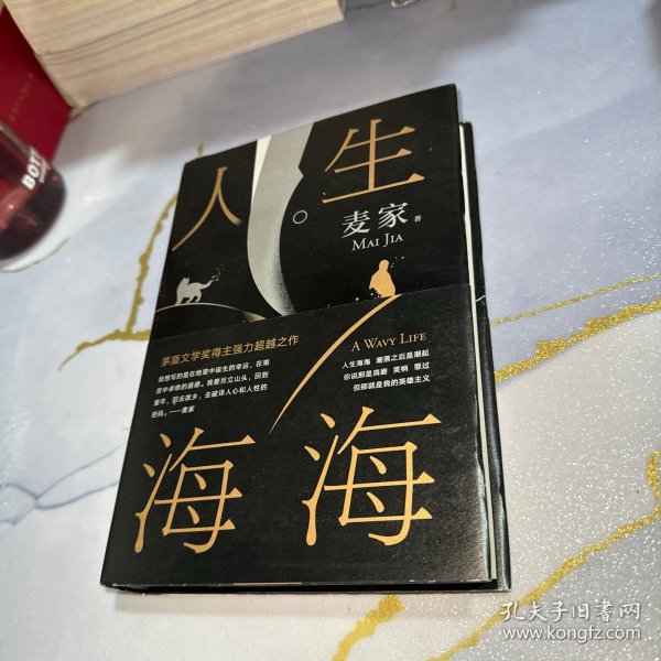 麦家：人生海海（茅盾文学奖得主麦家2019年强力之作）