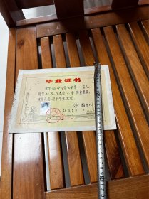 1981年，上海保安路小学毕业证一张，折叠发货