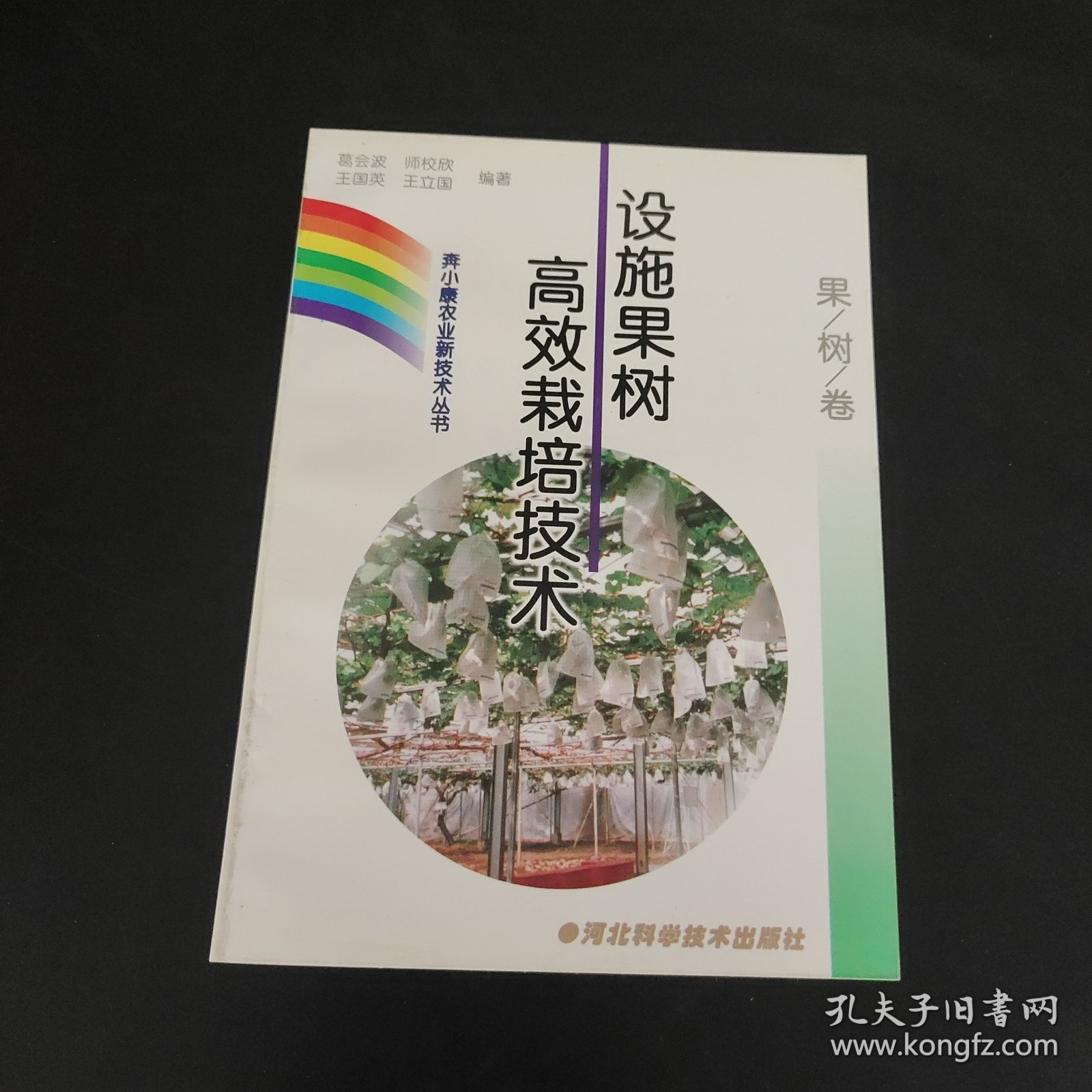 设施果树高效栽培技术