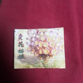 卖花姑娘D