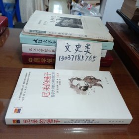 尼采的锤子：哲学大师的25种思维工具（没拆封）