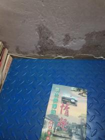 尋找他鄉(xiāng)的情趣