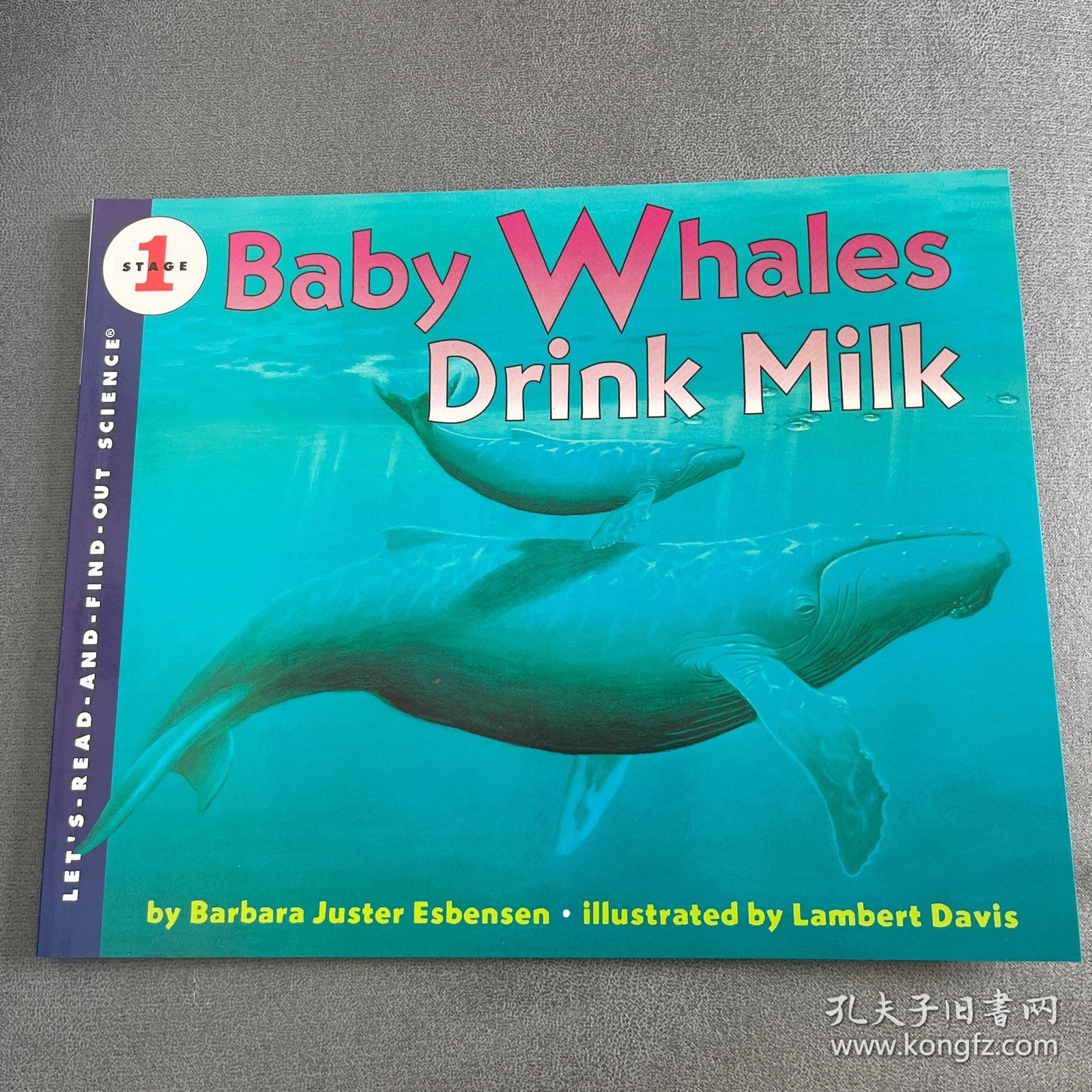 Baby Whales Drink Milk (Let's Read and Find Out) 自然科学启蒙1：喝乳汁的幼鲸